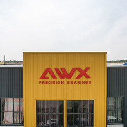 Shandong Awx Bearing  Co., Ltd. প্রস্তুতকারকের উৎপাদন লাইন